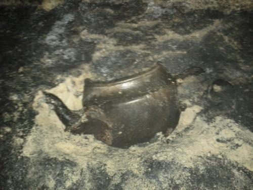 buried teapot Lilydale cave